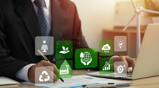 ICT for Sustainable Development